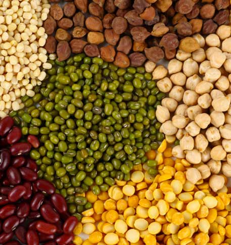 Beans & Pulses